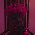 شقة Bdsm Lalka Milosci